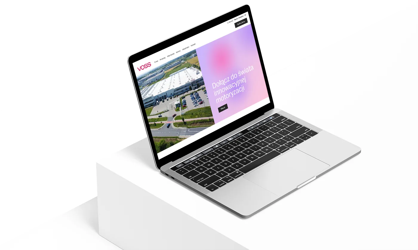 projekt1 Strony internetowe Wrocław - Dst Design